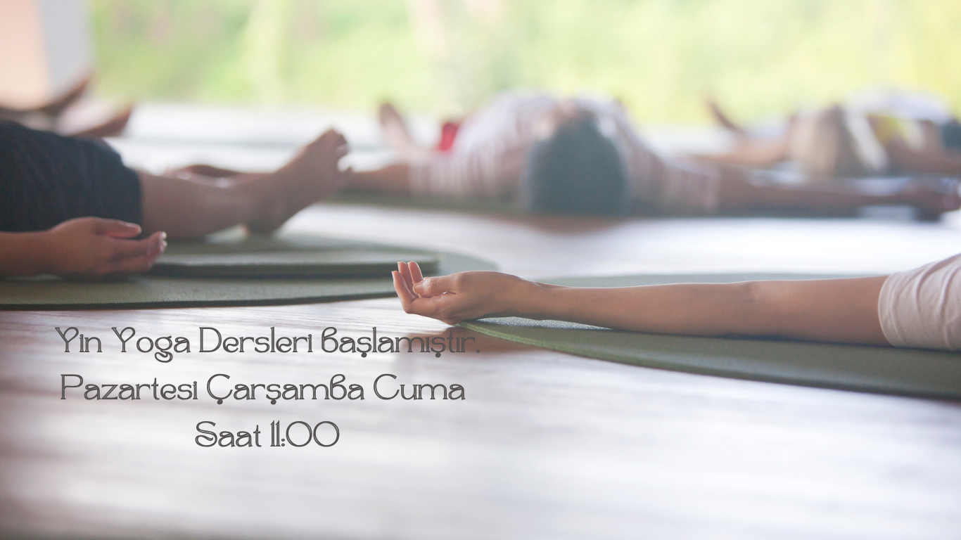 Yin Yoga Dersleri Hafta İçi Pazartesi Çarşamba Cuma saat 11:00 